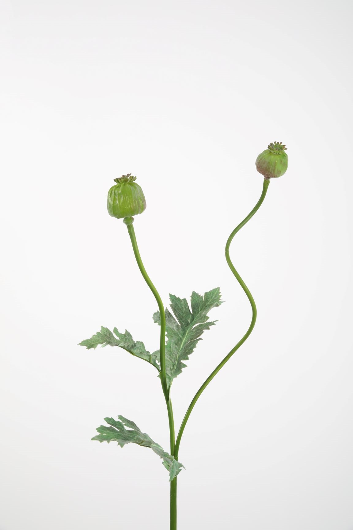 Papaver kunsttak groen - 78 cm