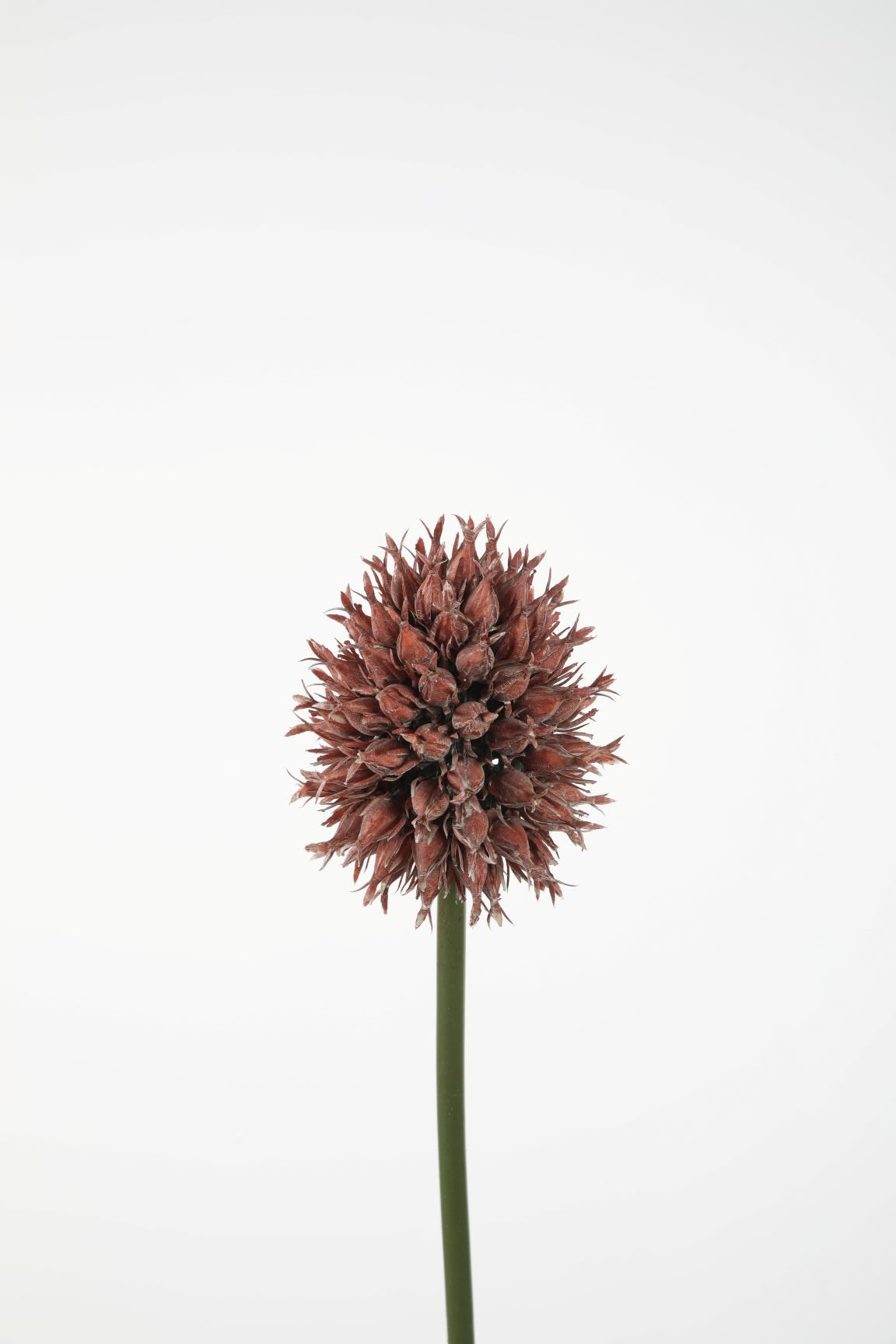 Artificial pineapple spray rust brown - 67 cm