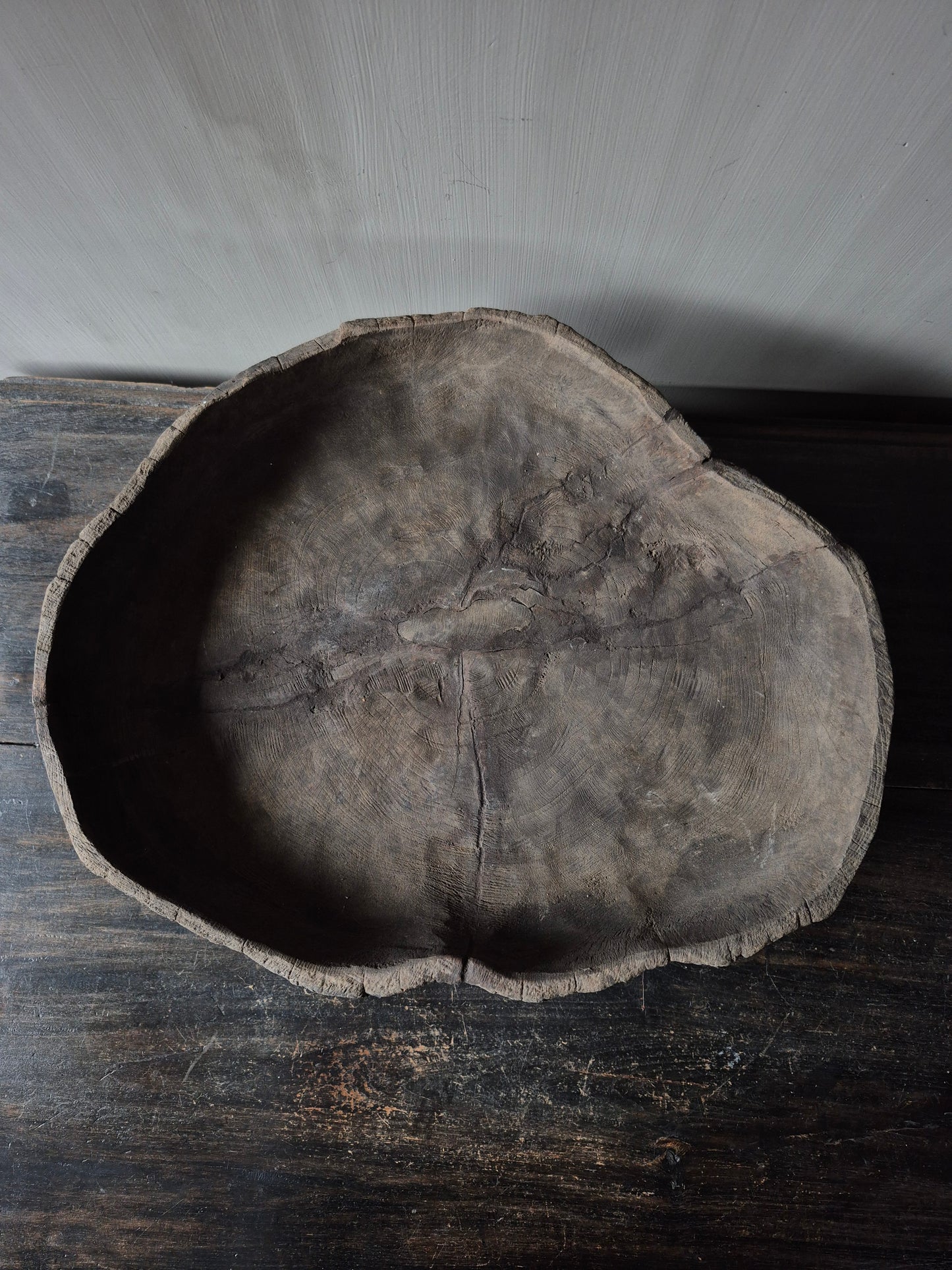 Unieke schaal Susi op voet - Luksa (nr 1)