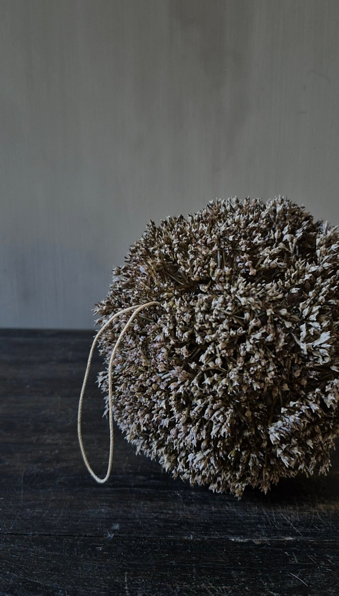 Eupatorium decorative sphere dark brown 15 cm