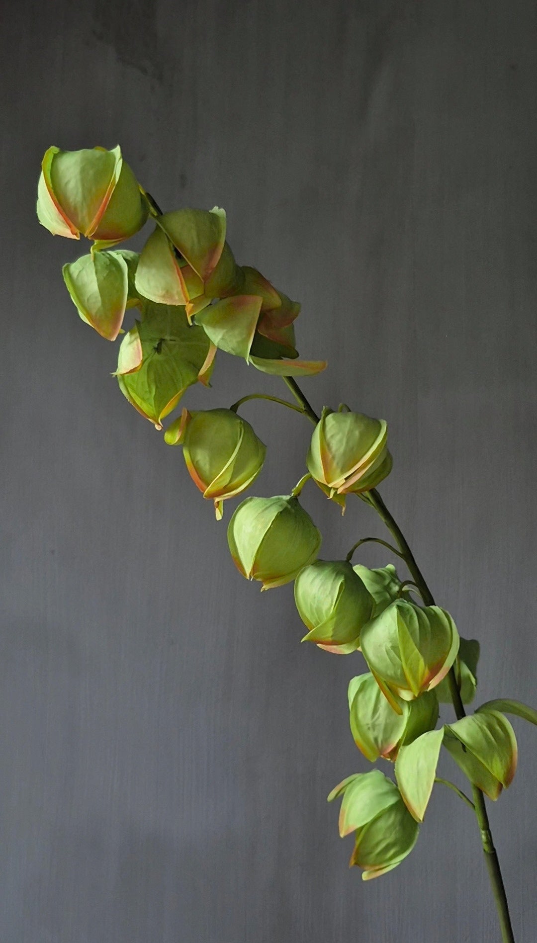Physalis kunstbloem lichtgroen - 82 cm