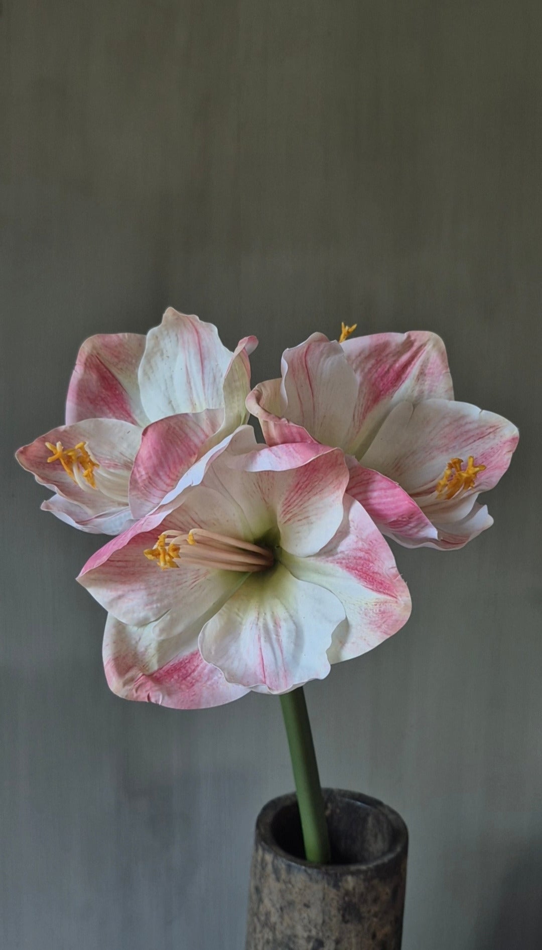 Amaryllis kunstbloem roze met wit real touch - 65 cm