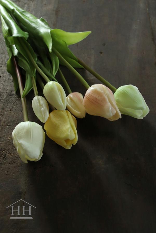 Gemengde tulpen pastel geel | Hillary'sHome