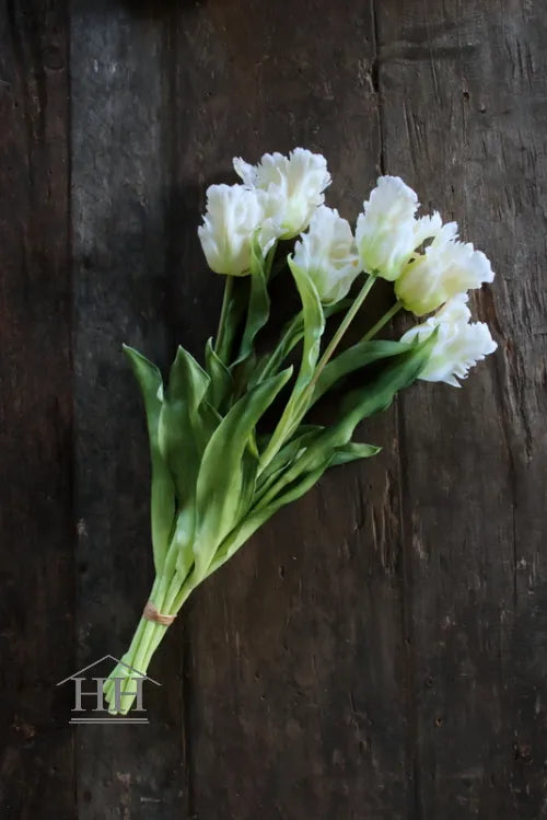 Künstliche weiße Tulpen – Papageientulpen – 52 cm – 6 Stiele –  Hillary'sHome B.V