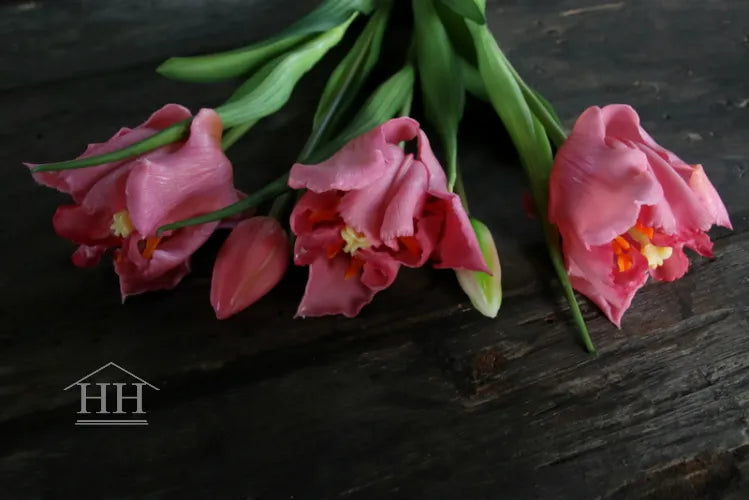 Kunst papegaai tulpen roze – 40cm – 5 stelen