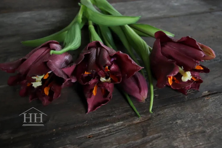 Kunst tulpen bordeaux paars – papegaai tulpen – 40cm – 5 stelen