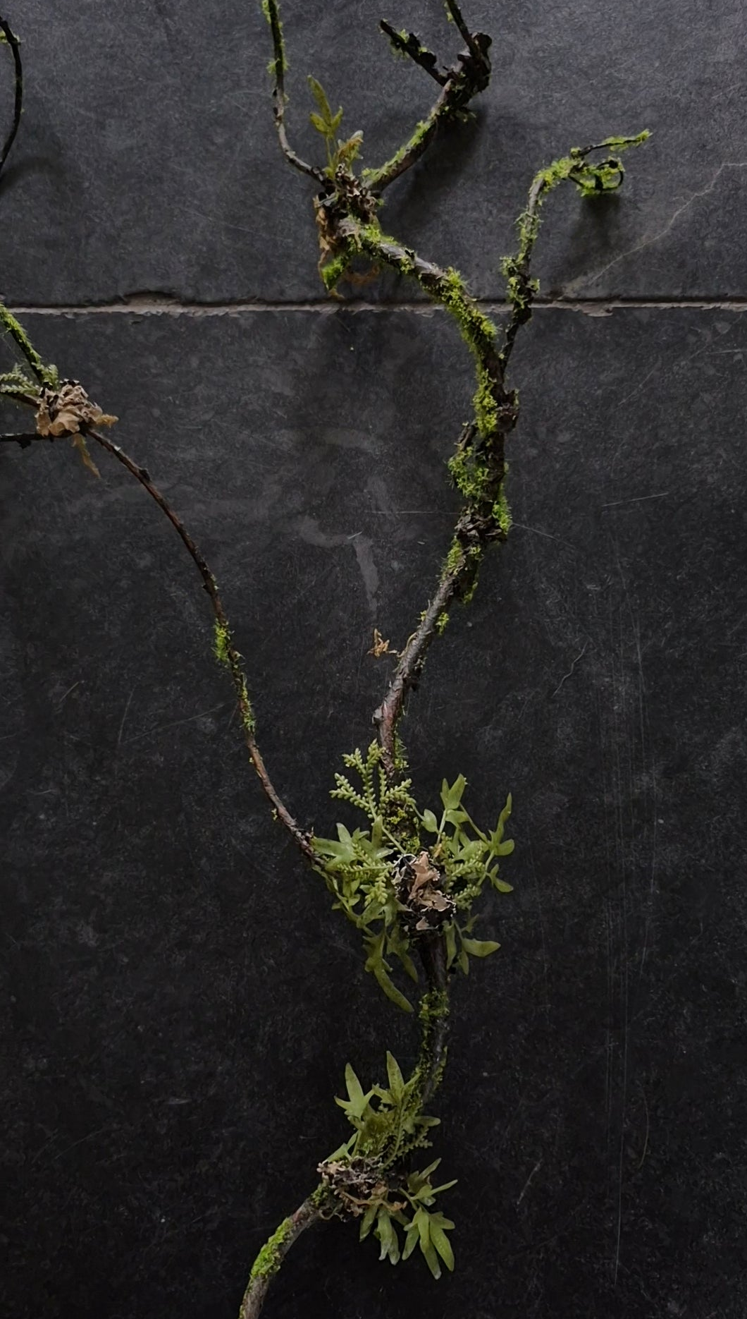 Kunst mostak slinger 110cm