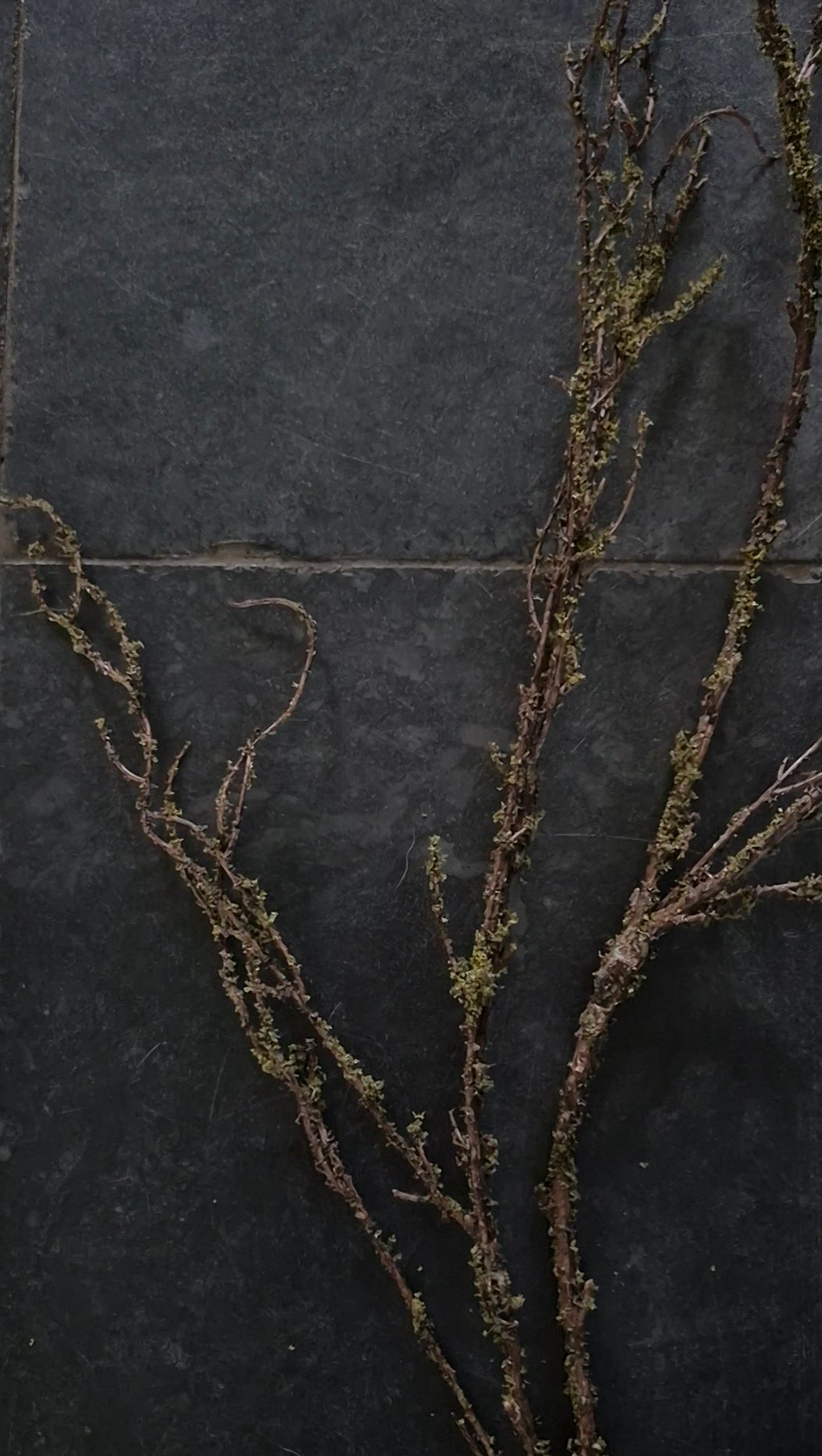 Sobere kunst mostak slinger 130cm