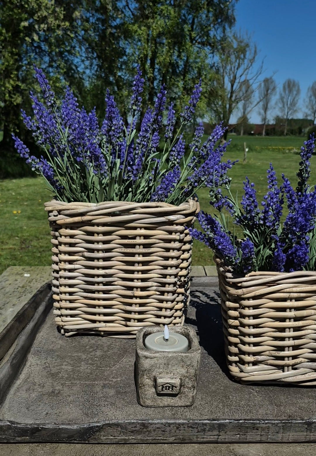 Set vierkante mand D27 H25cm met paarse lavendel