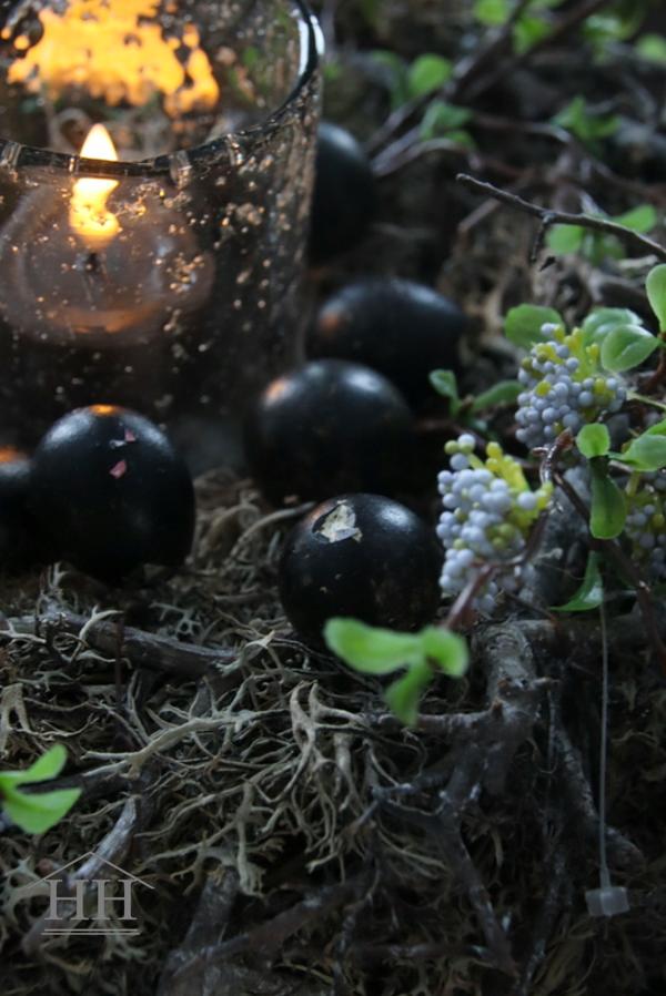 Zwarte kwarteleitjes 60 stuks | Hillary'sHome