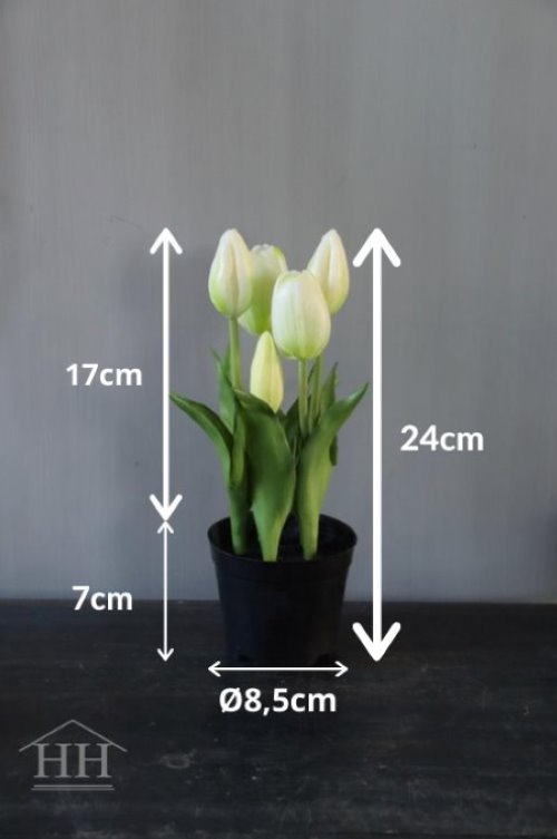 Afmeting kunsttulpen in pot | Hillary'sHome