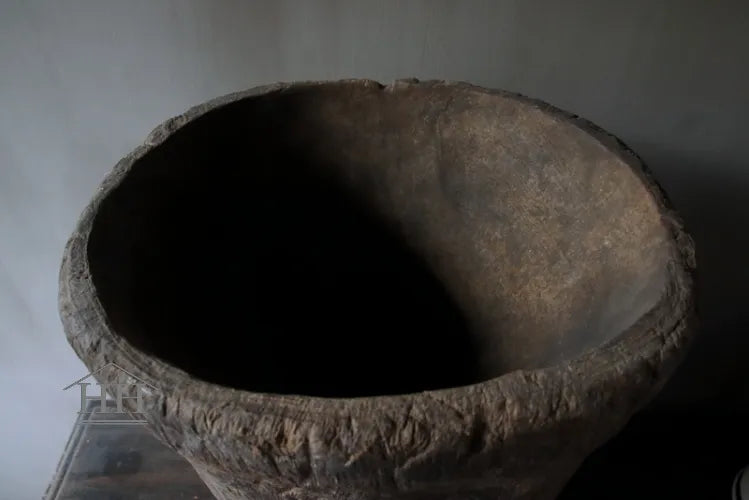 Vergrijsde vijzel / Aziatisch uniek XL (nr4)