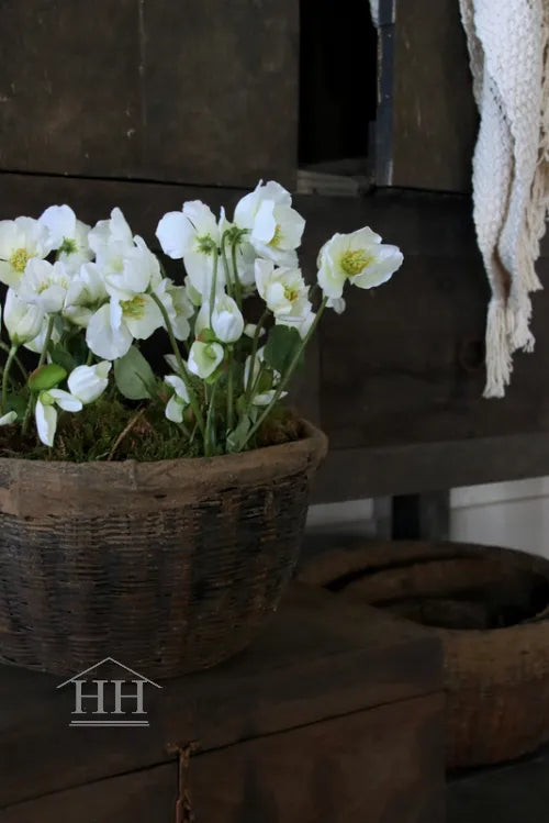 Kunst helleborus plant wit