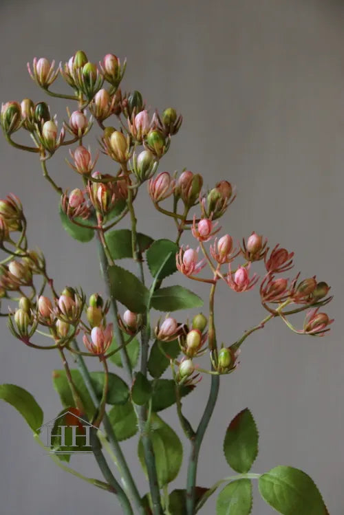 Kunstglockenblume hellrosa