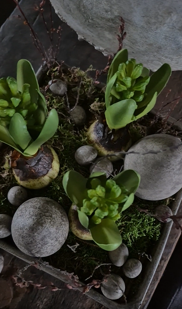 Sober betonnen ei S - pre-order