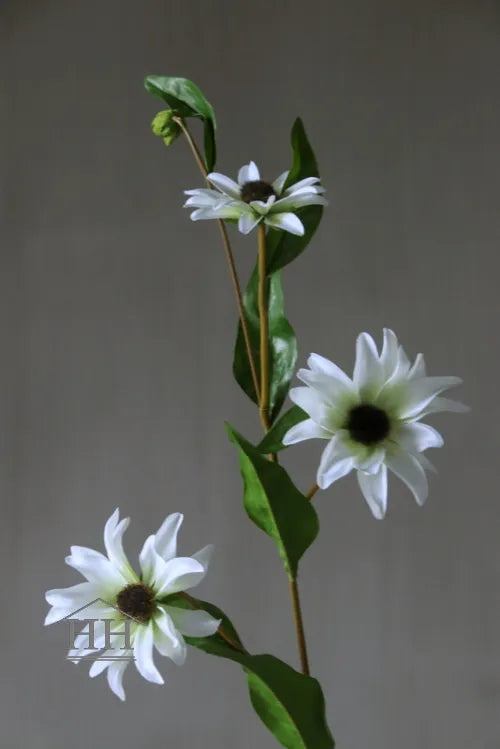 Kunst Schwarze Augen Susan 79cm