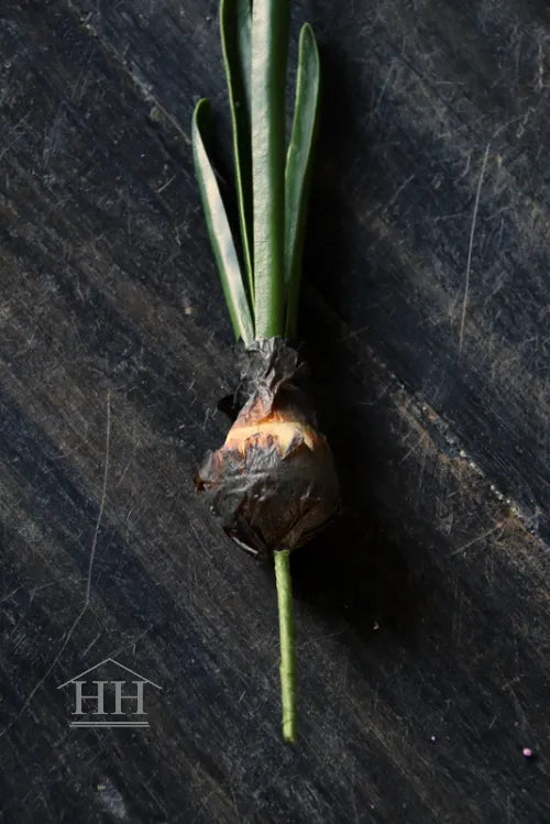 Künstliche blaue Traubenhyazinthe auf einer Kugel, 33 cm