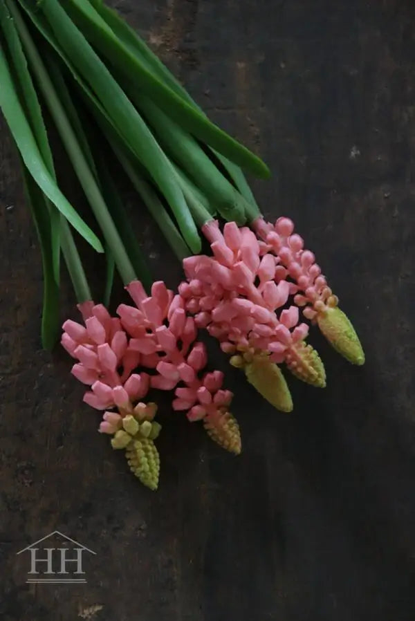 Bosje muscari roze druifjes