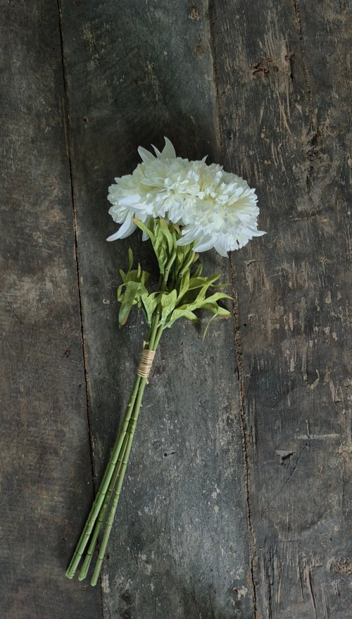 Calendula boeket wit 49 cm - 5 stelen