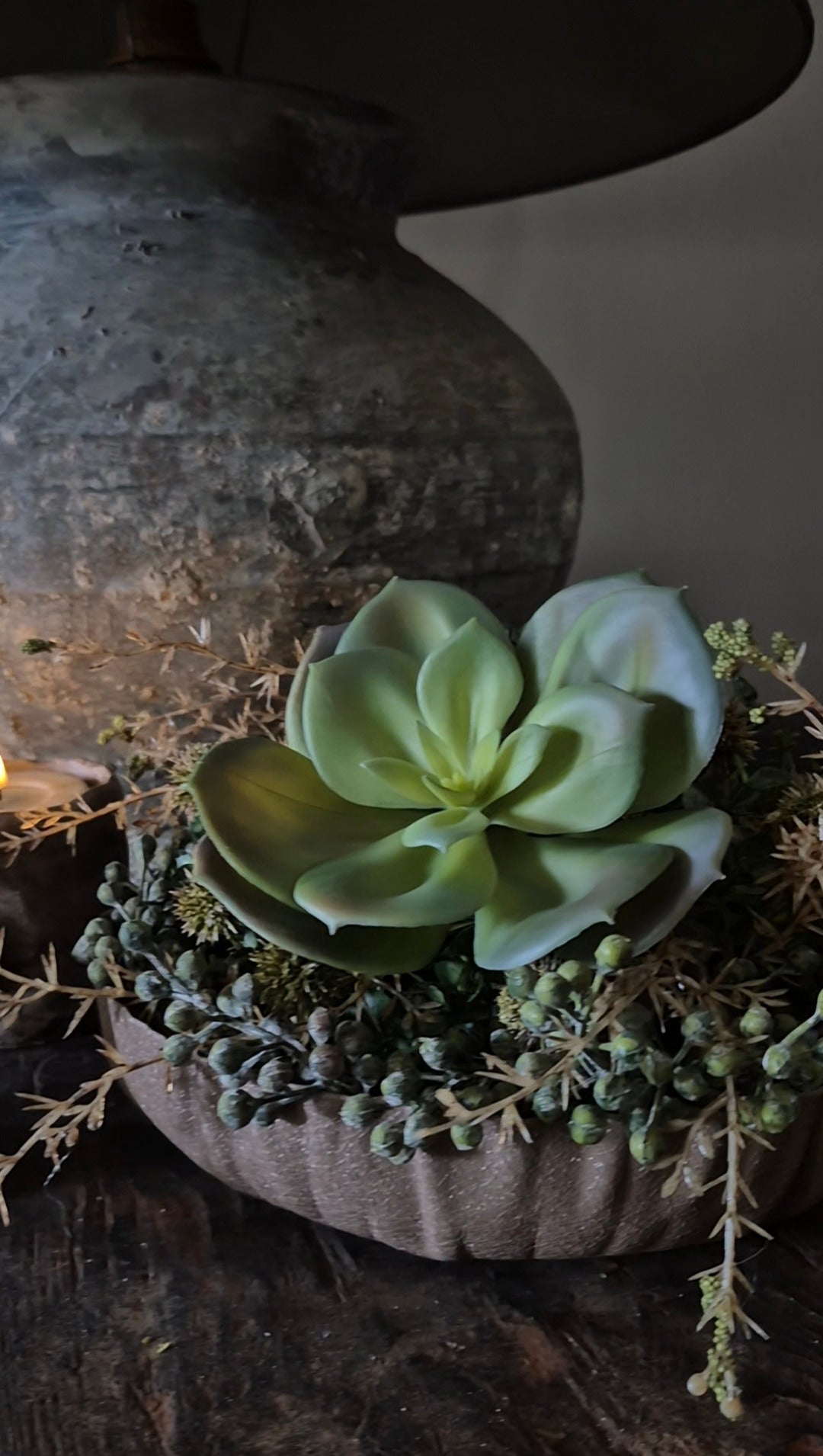 Kunst vetplant echeveria succulent groen