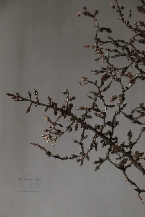 Künstlicher Corokia-Zweig, 110 cm