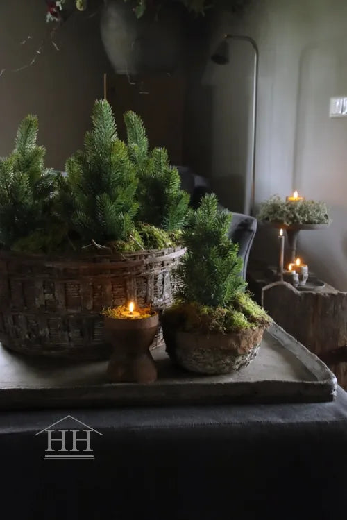 Künstliche Tanne im 38 cm großen Topf für drinnen