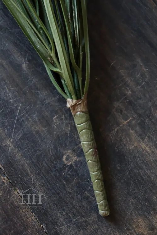 Grasboeket groen met pluimen