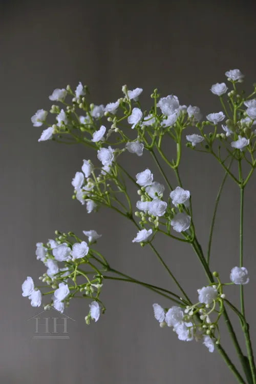 Kunst gipskruid wit 70 cm