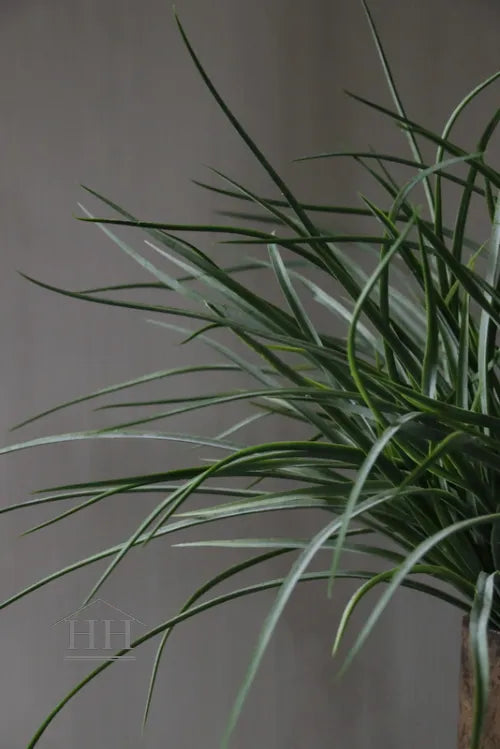 Grasboeket groen grijs 55cm