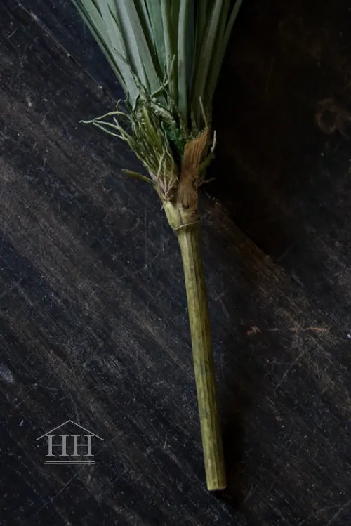 Grasboeket UV-bestendig 58cm