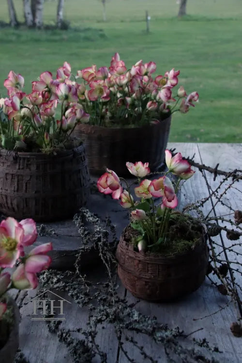 Artificial helleborus plant pink