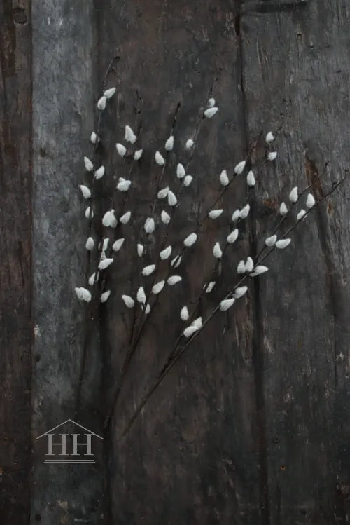 Katjes kunsttakken - bundel van 3