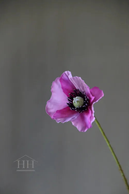 Kunst Klaproos roze - 79 cm