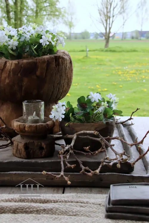 Klaver kunstplant wit - 22 cm