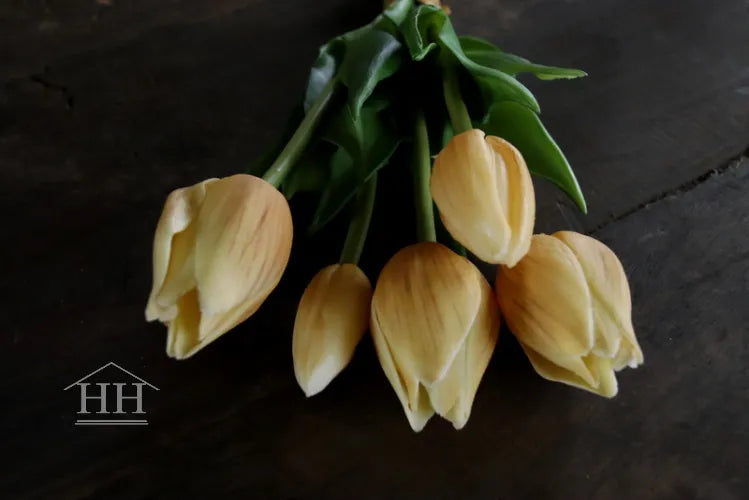 Short fake tulips champagne - 25 cm