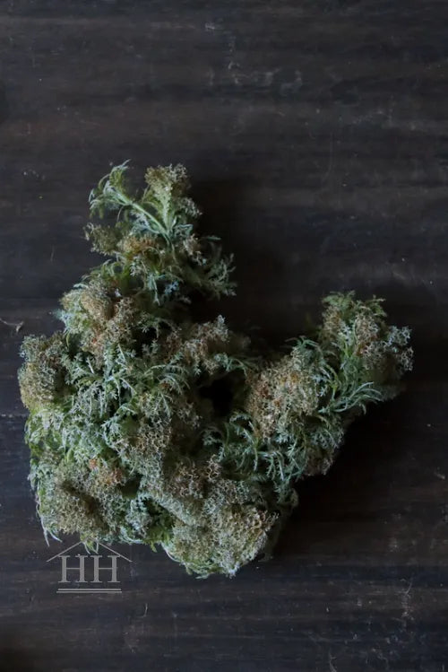 Künstliches Moos graubraun