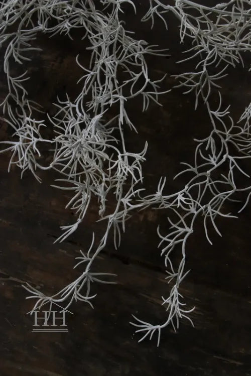 Tillandsia slinger 120cm