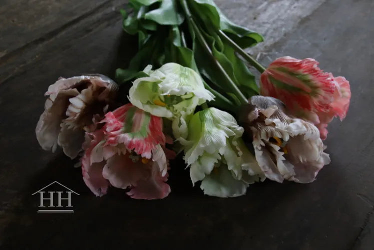 Papegaai tulpen bundel roze wit mauve mix - 52cm