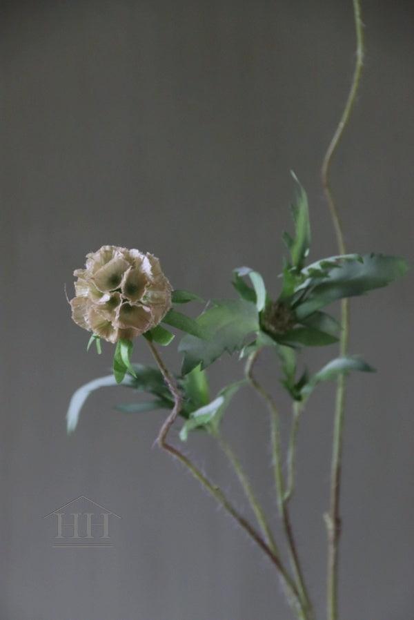 Kunst scabiosa spray 88 cm