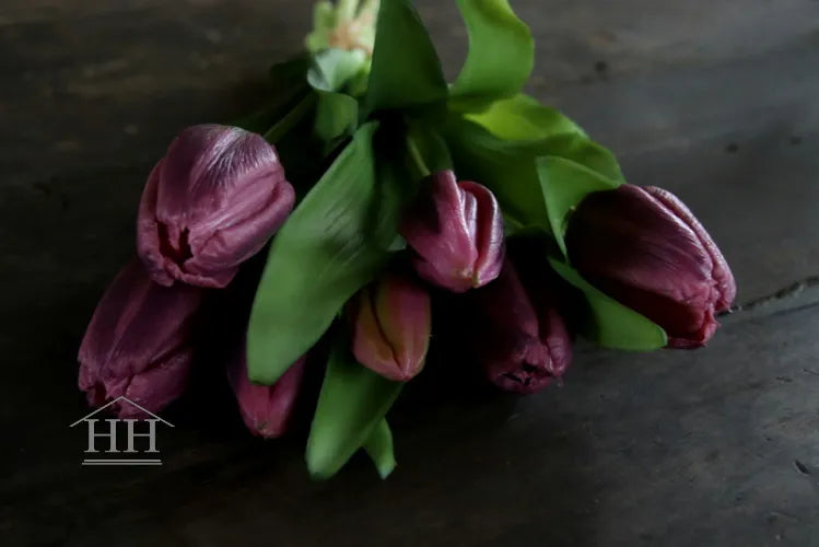 Tulip bundle dark purple flamed - 30 cm