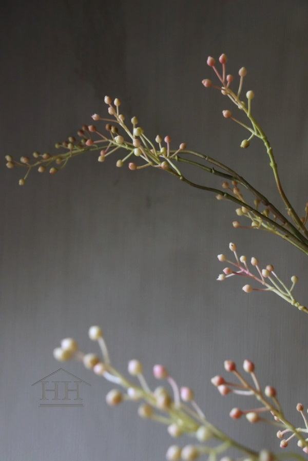 Hagebuttenzweig / Hagebuttenspray