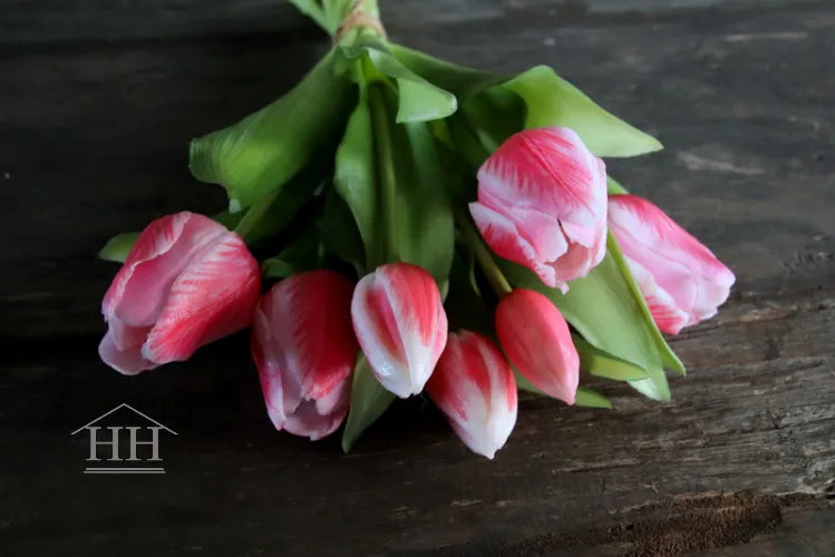 Tulpen bundel roze gevlamd 30cm