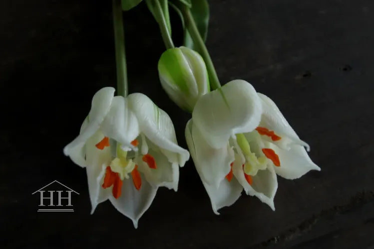 Amara kunst tulpenbundel wit - 48 cm