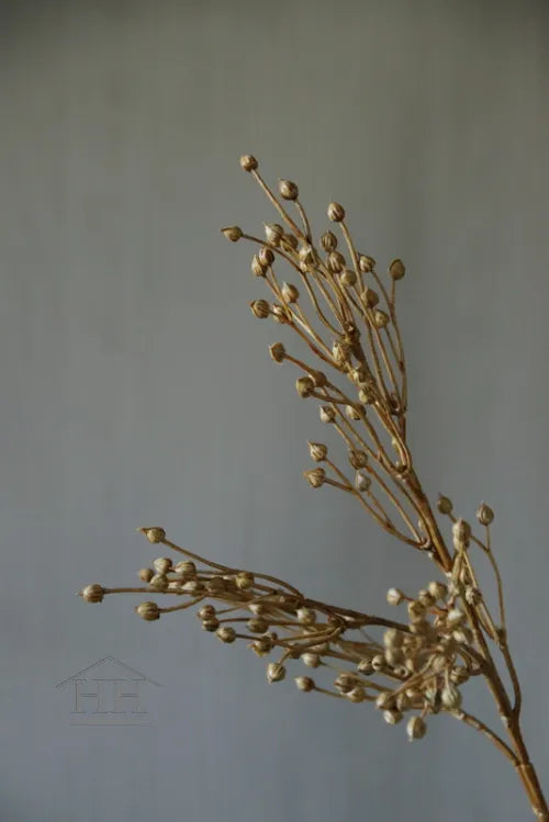 Leinsamenkugel-Kunstzweig goldgelb – 66 cm