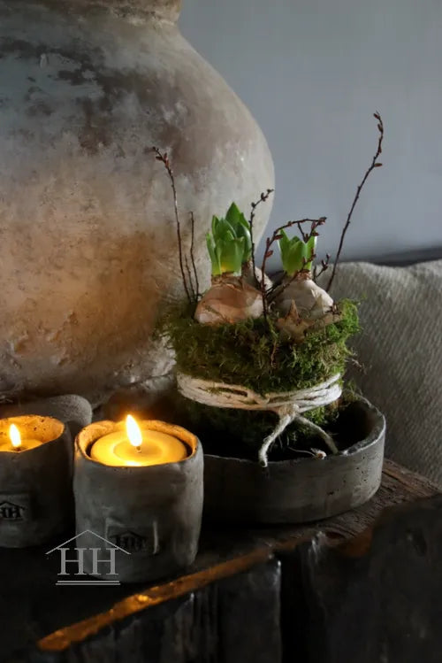 Mos taartje met 3 hyacinten bollen, gagel en berkensterren