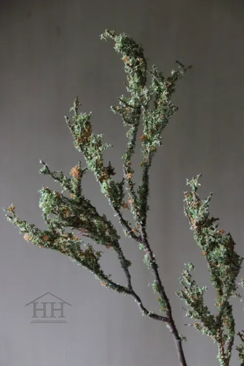 Moos Kunstzweig 85cm graugrün