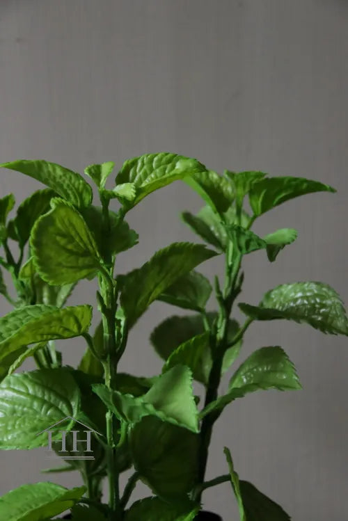 Munt kunstplant 25cm in beschadigde zwarte binnenpot