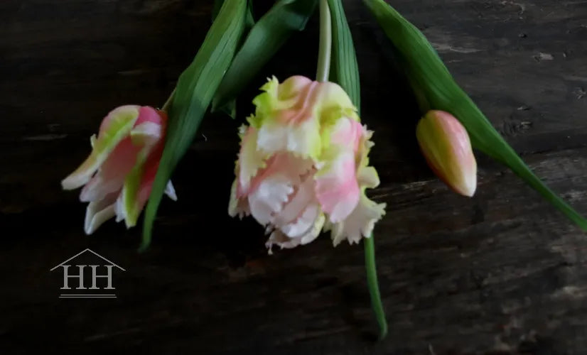 Nep tulpen lichtroze papegaai