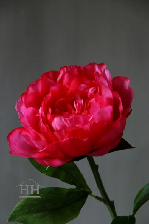 Kunstbloem pioenroos 50 cm fel roze