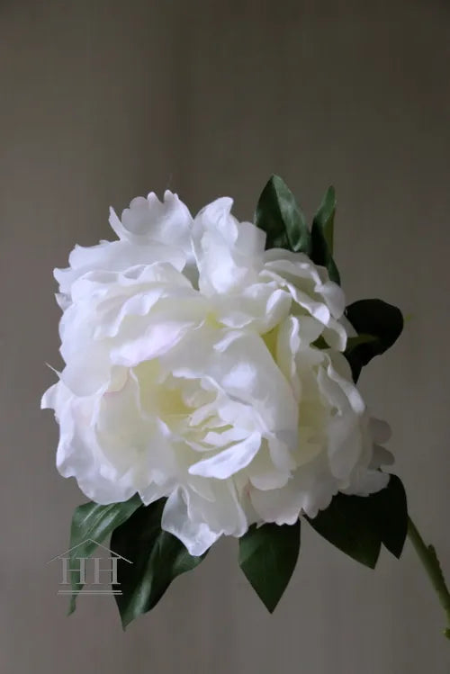 Zijdenbloem pioenroos 58 cm wit